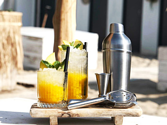 Mango Mojito and Mango Mule  Recipe