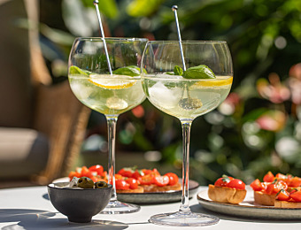 3 gin tonics that are perfect for spring! 
