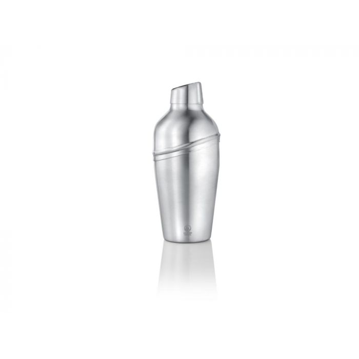 Stainless-Steel Cocktail Shaker